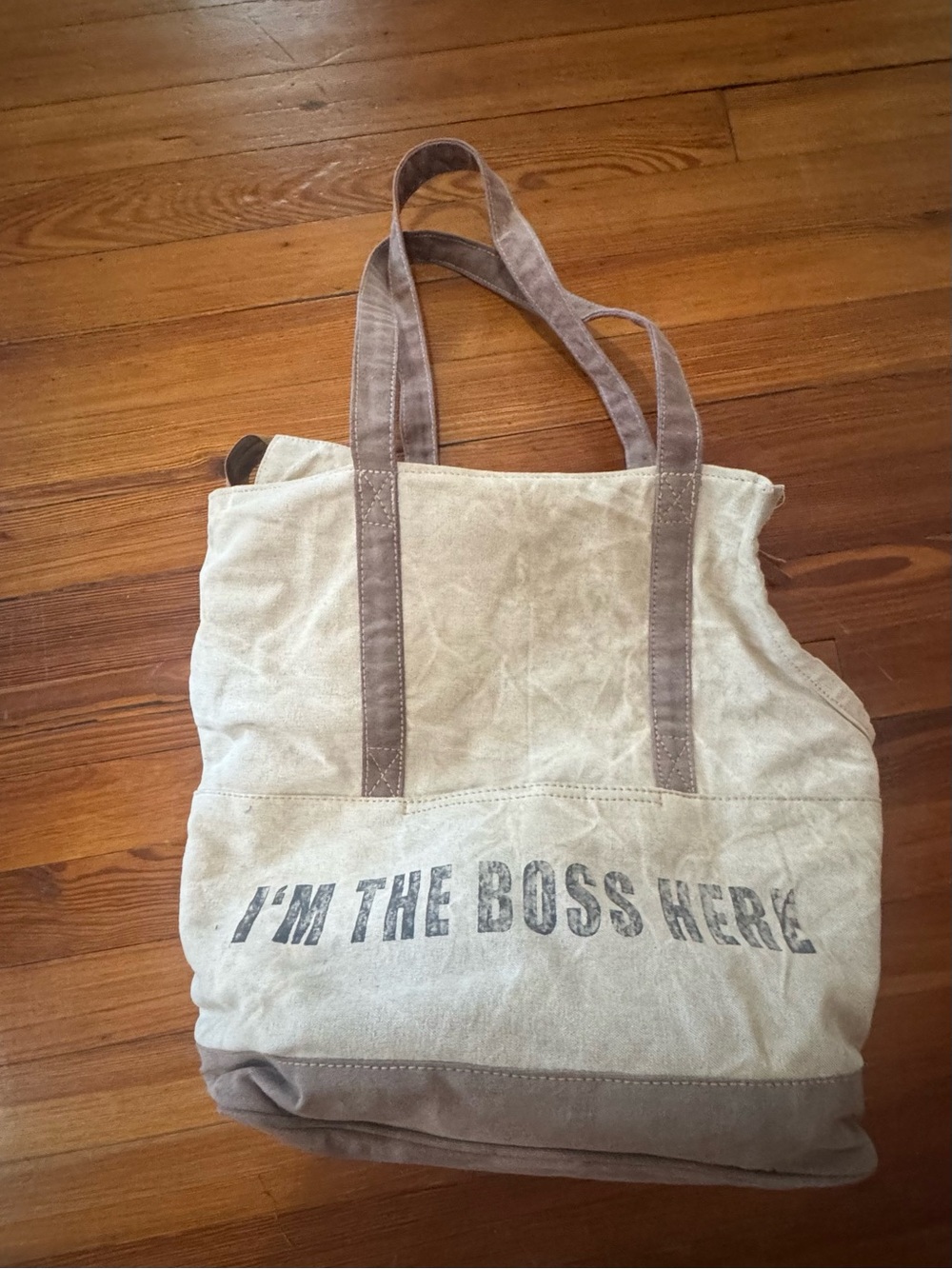 Pet Carrier Canvas Tote Bag with 'I'M THE BOSS HERE' Print - Beige/Brown